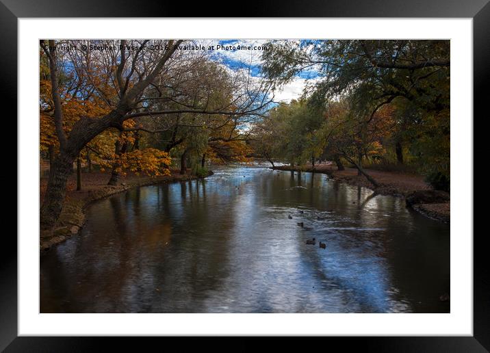 Autumn in the park Framed Mounted Print by Stephen Prosser