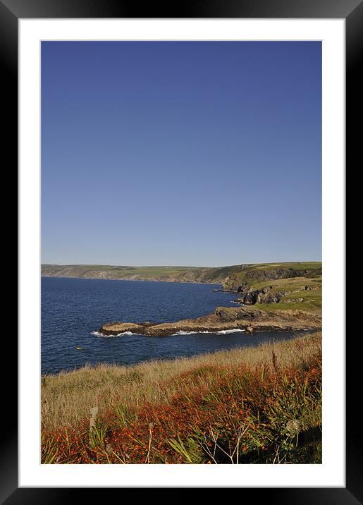 Coast of Port Issac Framed Mounted Print by Alexia Miles