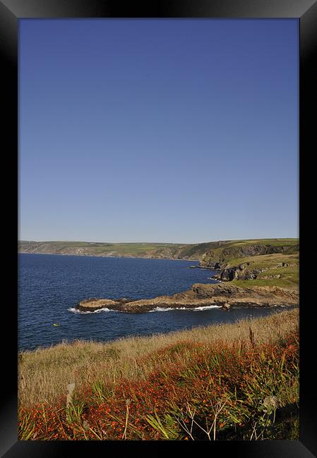 Coast of Port Issac Framed Print by Alexia Miles