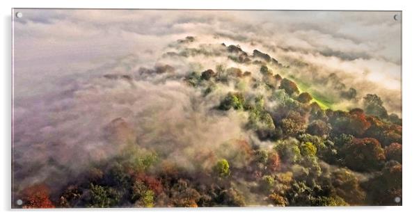 Autumn Mist Panorama Acrylic by Steve Marriott