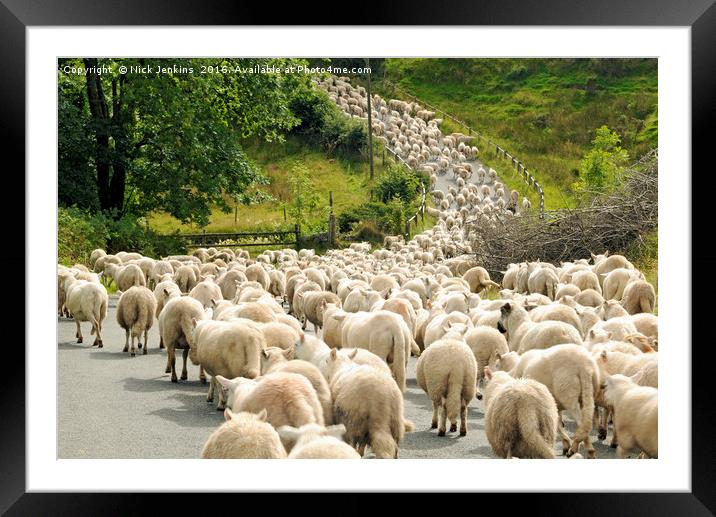Sheep on the move Brecon Beacons National Park Framed Mounted Print by Nick Jenkins