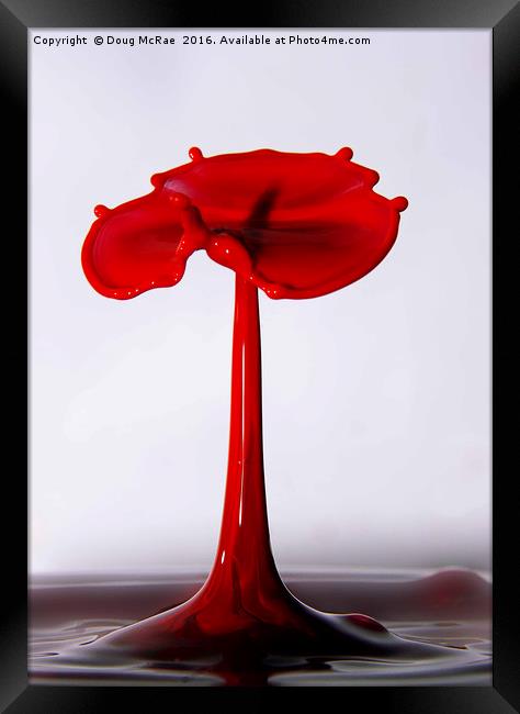 water poppy Framed Print by Doug McRae