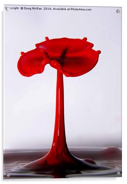 water poppy Acrylic by Doug McRae