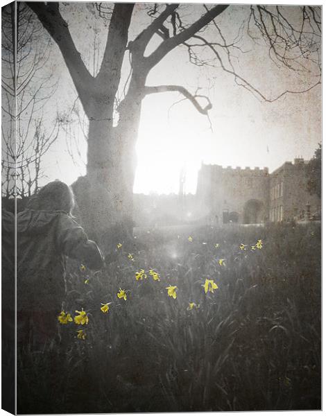 Boy and Daffodils, Torre Abbey Torquay Canvas Print by K. Appleseed.