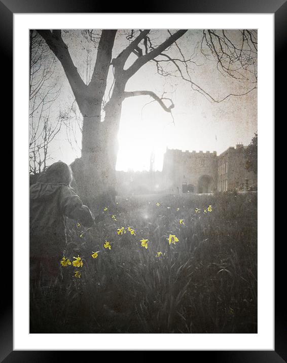 Boy and Daffodils, Torre Abbey Torquay Framed Mounted Print by K. Appleseed.