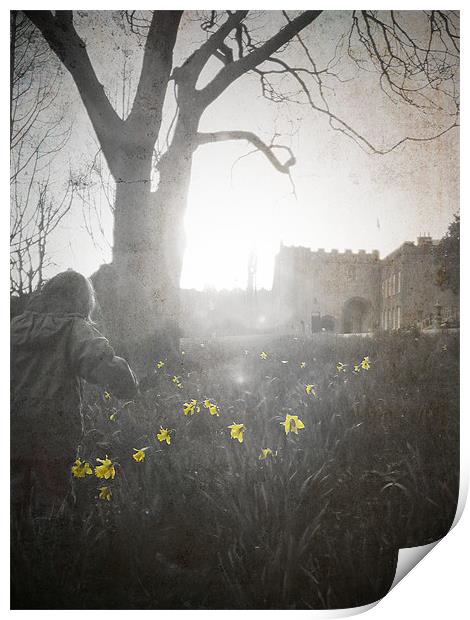 Boy and Daffodils, Torre Abbey Torquay Print by K. Appleseed.