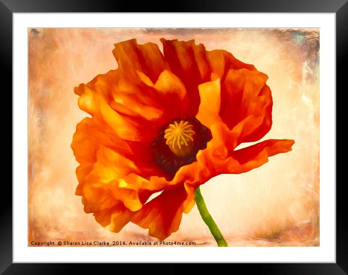 Aunties Poppy Framed Mounted Print by Sharon Lisa Clarke