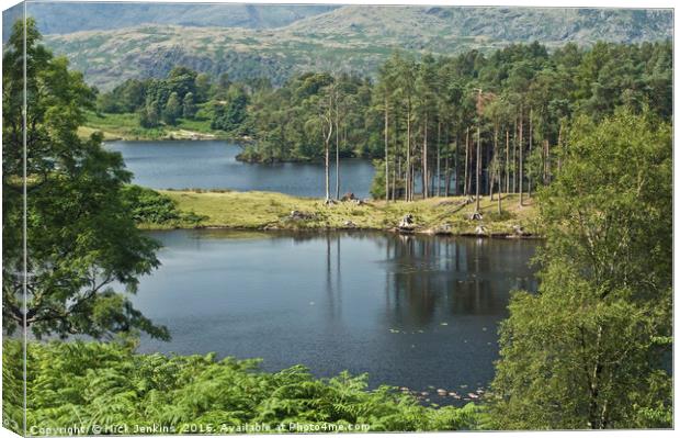 Tarn Hows Lake in the Lake District National Park Canvas Print by Nick Jenkins
