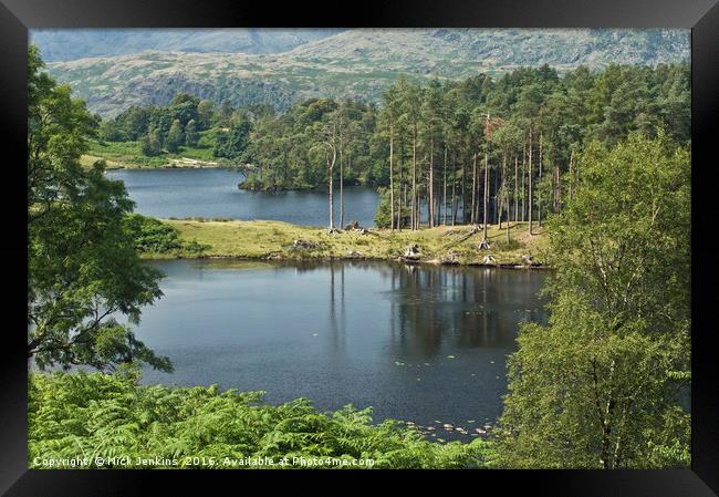 Tarn Hows Lake in the Lake District National Park Framed Print by Nick Jenkins