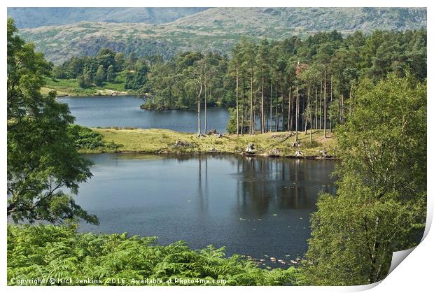 Tarn Hows Lake in the Lake District National Park Print by Nick Jenkins