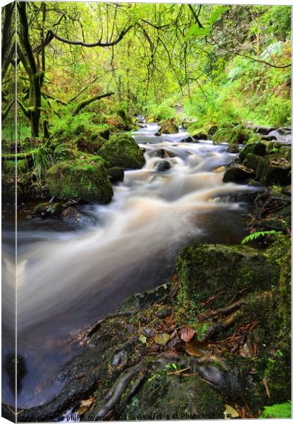          White waters of Wyming Brook              Canvas Print by philip myers
