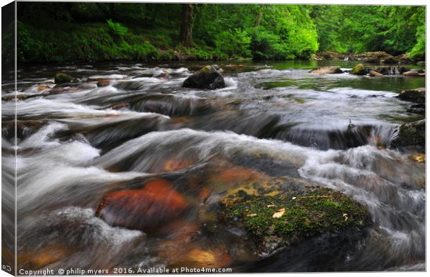     River Dart                                 Canvas Print by philip myers