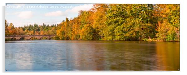 Autumn lake Acrylic by Beata Aldridge