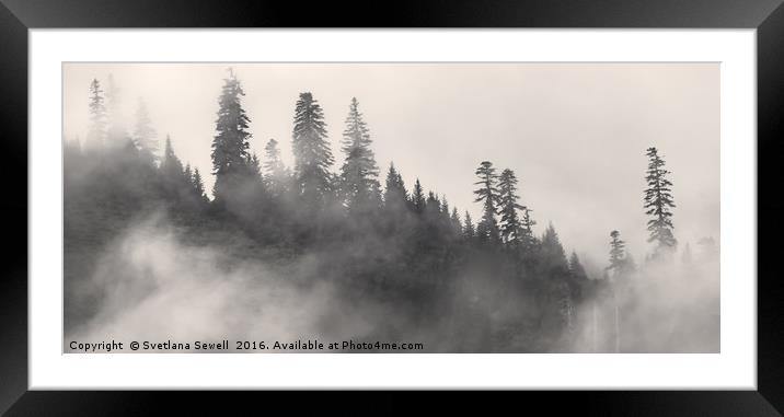 Foggy Trees Framed Mounted Print by Svetlana Sewell