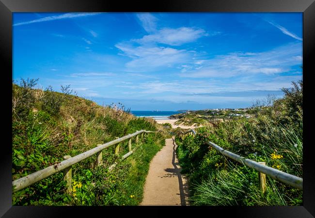 Pathway to Godrevy Framed Print by David Wilkins