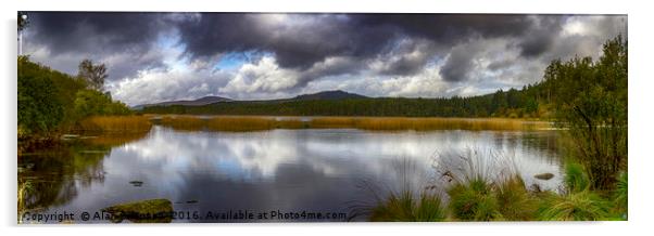 Stroan Loch, Scotland Acrylic by Alan Simpson