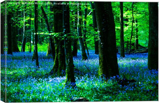 Bluebell Wood Canvas Print by Maggie McCall