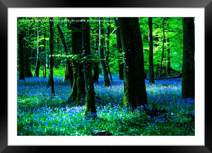 Bluebell Wood Framed Mounted Print by Maggie McCall