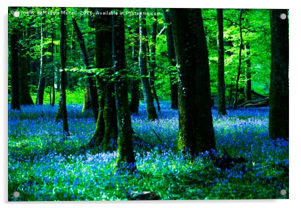 Bluebell Wood Acrylic by Maggie McCall