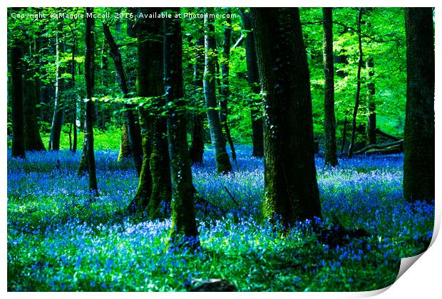 Bluebell Wood Print by Maggie McCall