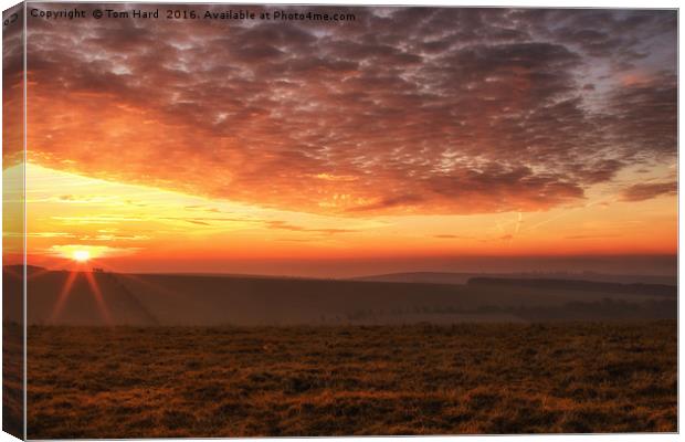 South Downs Sunrise Canvas Print by Tom Hard