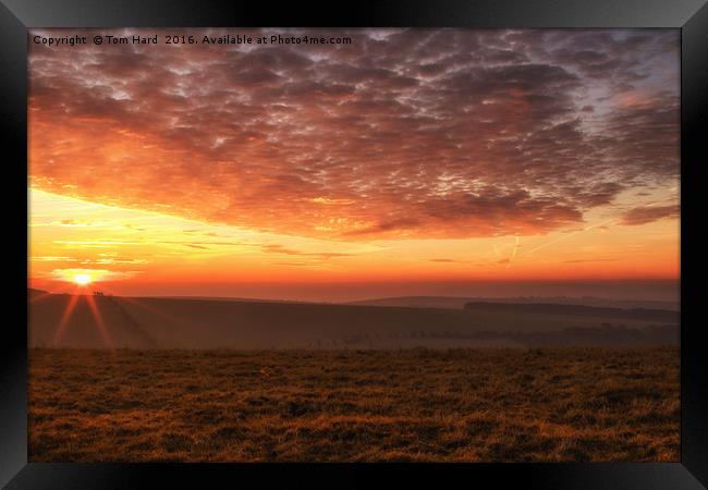 South Downs Sunrise Framed Print by Tom Hard