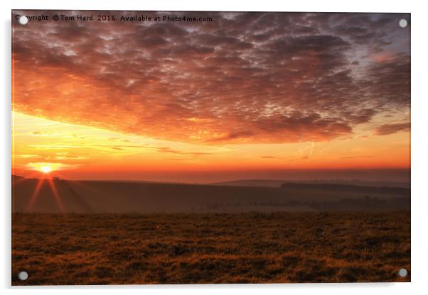 South Downs Sunrise Acrylic by Tom Hard