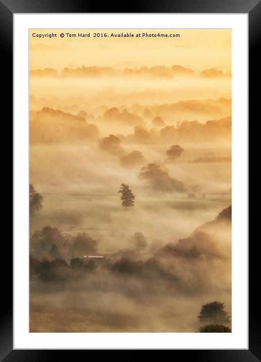 Misty Morning Framed Mounted Print by Tom Hard