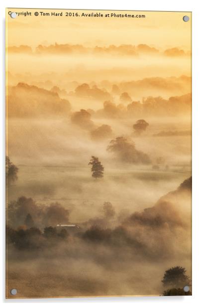 Misty Morning Acrylic by Tom Hard