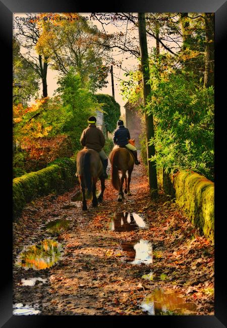 Horse trails Framed Print by Derrick Fox Lomax