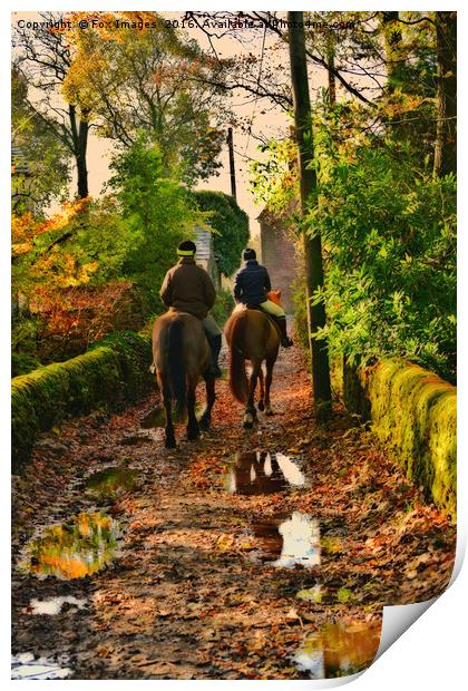 Horse trails Print by Derrick Fox Lomax