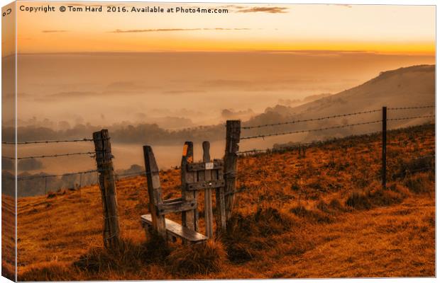 Time for a walk Canvas Print by Tom Hard