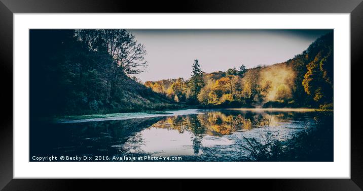 Penllergare Woods Reflections. Framed Mounted Print by Becky Dix