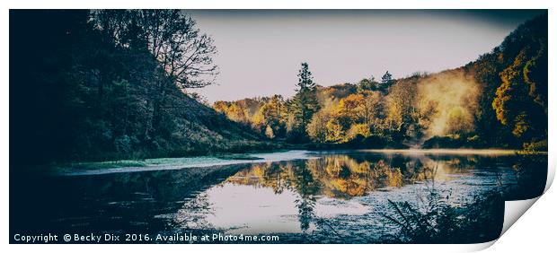 Penllergare Woods Reflections. Print by Becky Dix