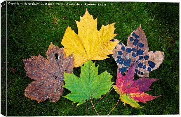 Colours of Autumn Canvas Print by Graham Custance