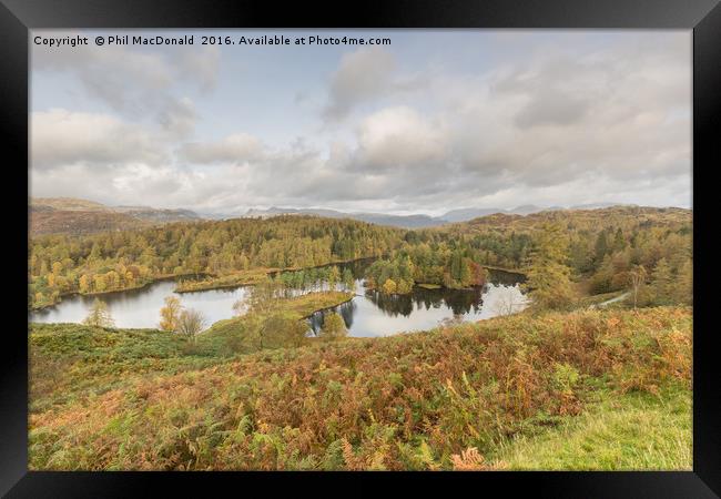 Autumn at Tarn Hows Framed Print by Phil MacDonald