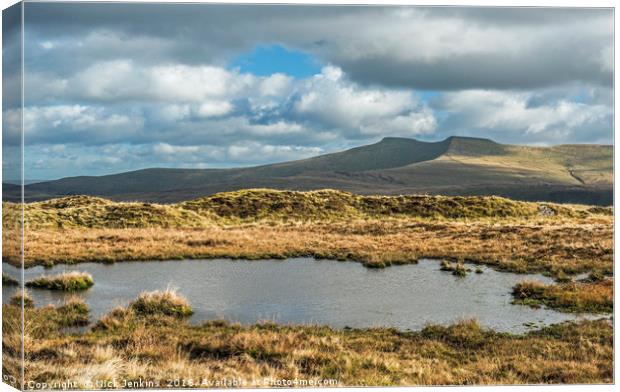 Pool on the hill of Fan Frynych, Brecon Beacons Canvas Print by Nick Jenkins