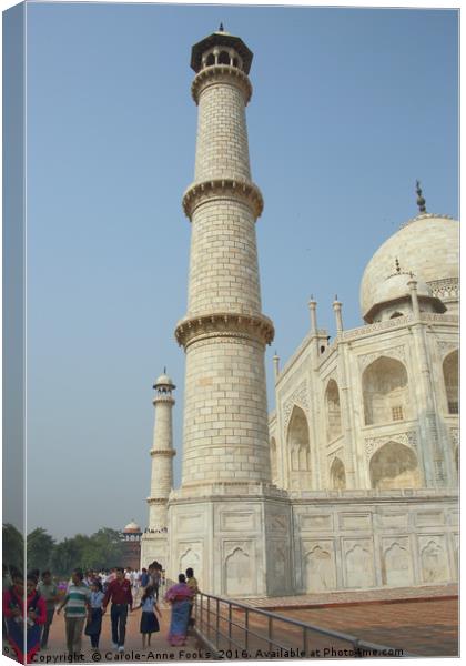 The Taj Mahal, Agra Canvas Print by Carole-Anne Fooks