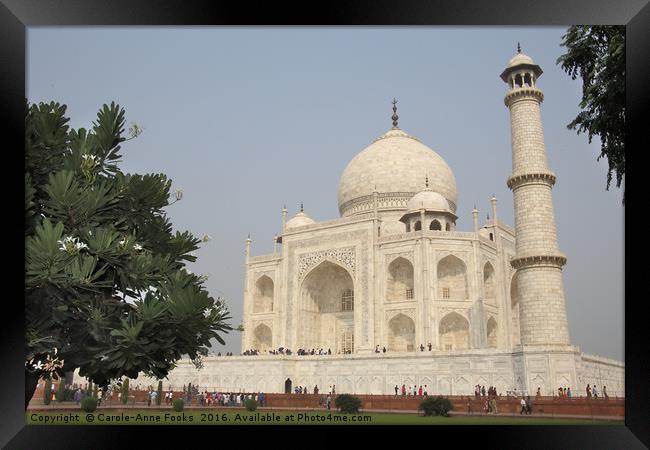 The Taj Mahal, Agra Framed Print by Carole-Anne Fooks