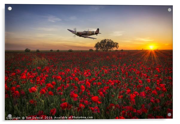 Spitfire over a field of poppies. Acrylic by Tom Dolezal