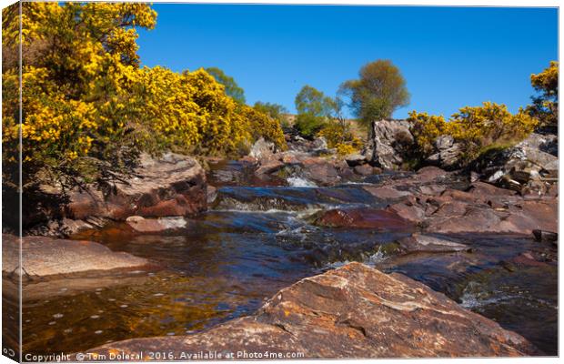 Highland stream Canvas Print by Tom Dolezal