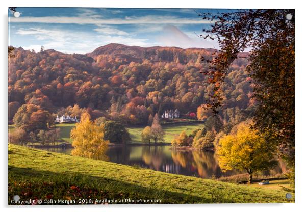 Grasmere Autumn Colours Acrylic by Colin Morgan