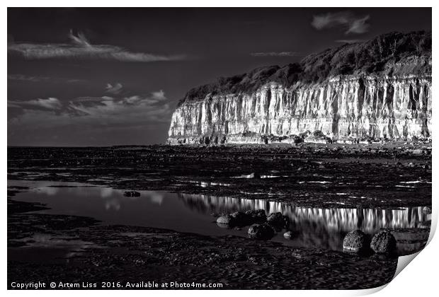 Golden Hour by the Sea in Black and White Print by Artem Liss