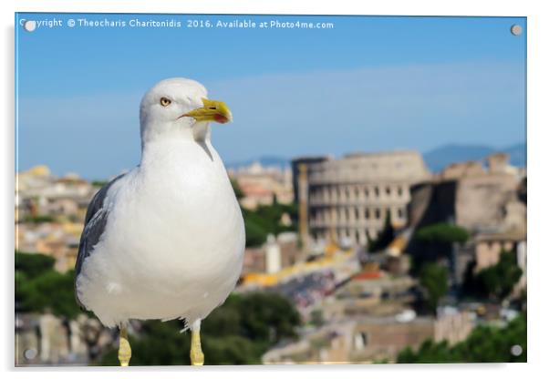 Seagull in Rome. Acrylic by Theocharis Charitonidis