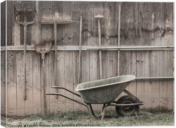 Country Ranch Tools Canvas Print by Fabrizio Malisan