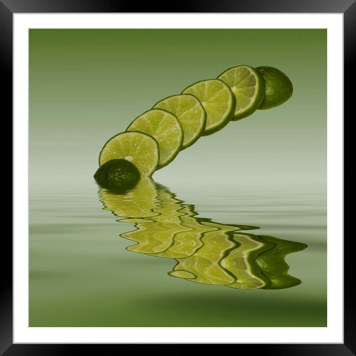 Slices Lime Citrus Fruit Framed Mounted Print by David French