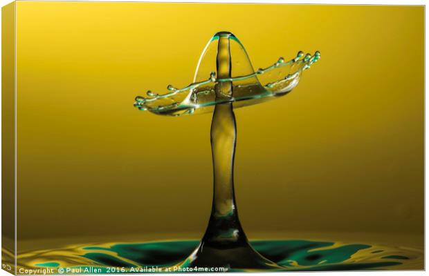 Sombrero shaped water drop Canvas Print by Paul Allen