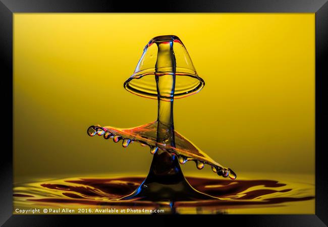 A double water drop collision Framed Print by Paul Allen