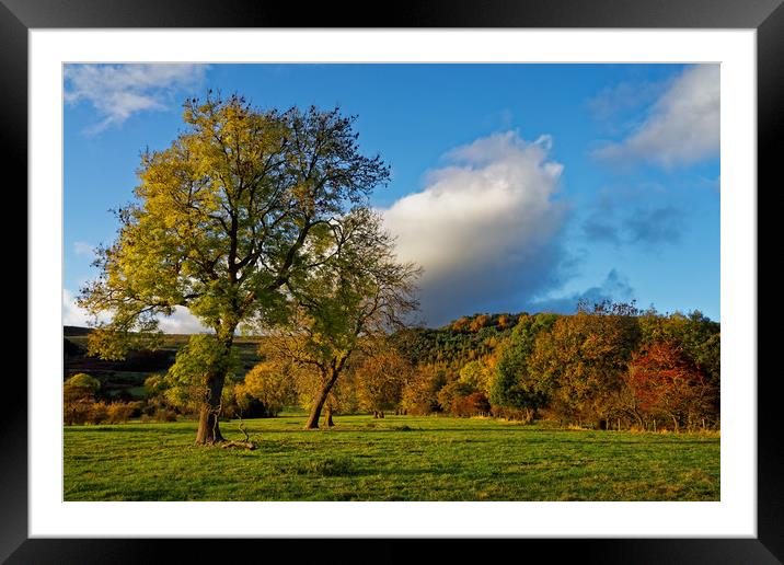 Hope Valley in Autumn                              Framed Mounted Print by Darren Galpin