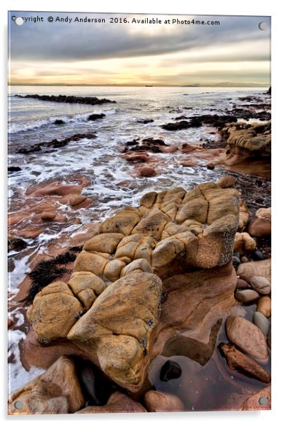 East Fife Rocky Coast Acrylic by Andy Anderson